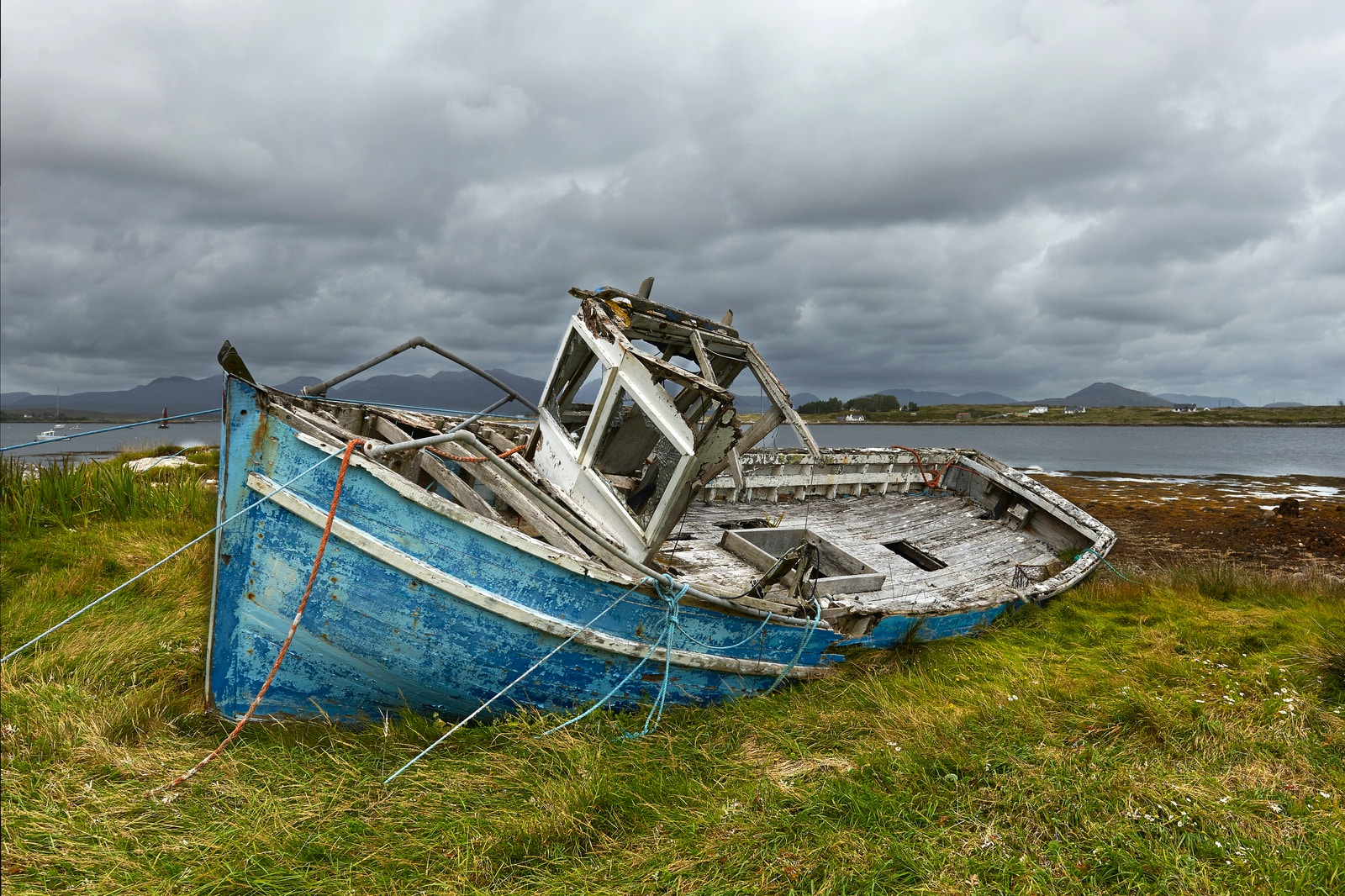 blue and white boat on green grass field during daytime