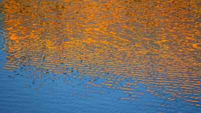 water, ripple, reflection, golden, nature, pond, surface, liquid, fluid