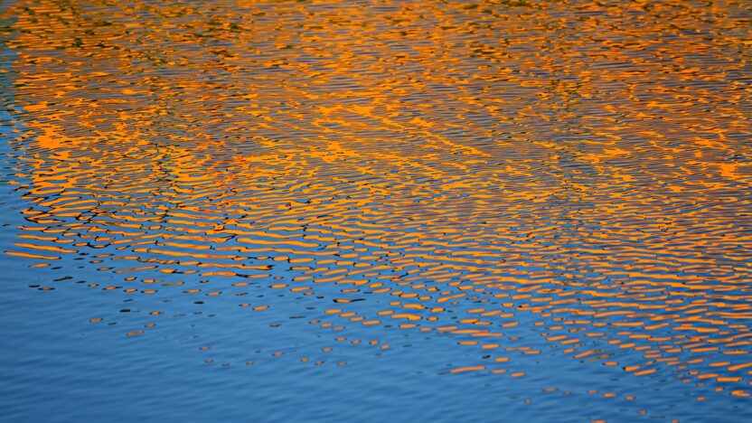 water, ripple, reflection, golden, nature, pond, surface, liquid, fluid